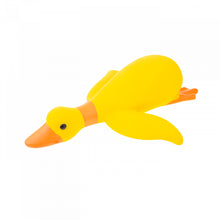 RECOFUN droll duck