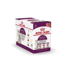 ROYAL CANIN SENSORY SMELL kawałki w sosie 12x85g karma mokra dla kotów