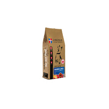 Lincoln Salmon & Rice Łosoś Ryż Adult 3 kg