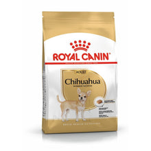 ROYAL CANIN Chihuahua Adult Karma Sucha Dla Psów Dorosłych Rasy Chihuahua 1,5 kg