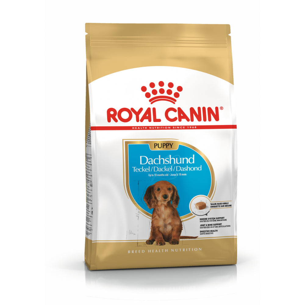 ROYAL CANIN BHN Dachshund Puppy Karma Sucha Dla Szczeniąt Do 10 Miesiąca Rasy Jamnik 1,5 kg