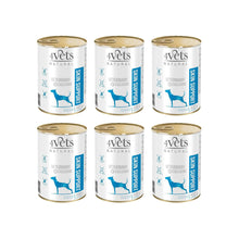 Pakiet 4VETS Natural skin support dog 6x400g