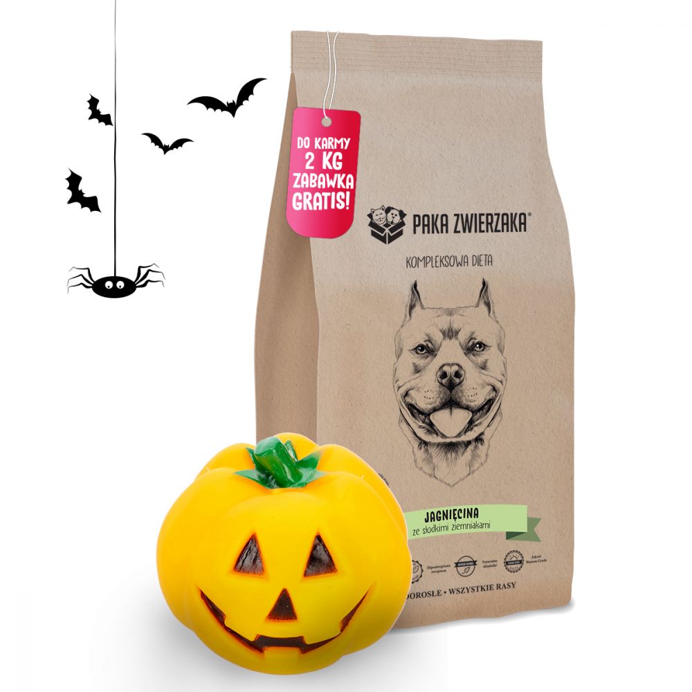 Pakiet Paka Zwierzaka Bezzbożowa Karma Dla Psa Jagnięcina Słodkie Ziemniaki 2 kg + Zabawka GRATIS!