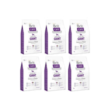 Pakiet Brit Care Grain Free Salmon & Potato Łosoś Ziemniaki Bezzbożowa Giant Karma Dla Dorosłych Psów Bardzo Dużych Ras 6 x 3 kg