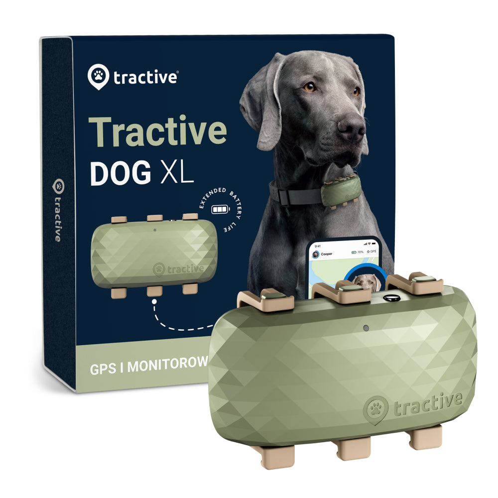 Lokalizator GPS Dla Psów Tractive Tracker XL Zielony