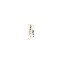 GEULINCX leniderm spuma 200 ml