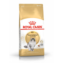Royal Canin Norvegian Forest Cat Adult Karma Sucha Dla Kotów Dorosłych Rasy Norweski Leśny 2 Kg