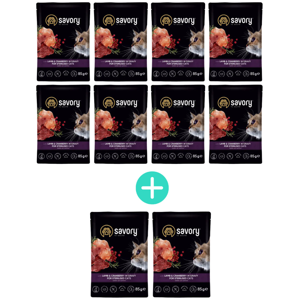 Pakiet Savory Cat Adult Sterilised Lamb&Cranberries Gravy Karma Mokra Dla Kotów Po Sterylizacji i Kastracji z Jagnięciną i Żurawiną w Sosie 8 x 85 g + 2 Saszetki GRATIS!