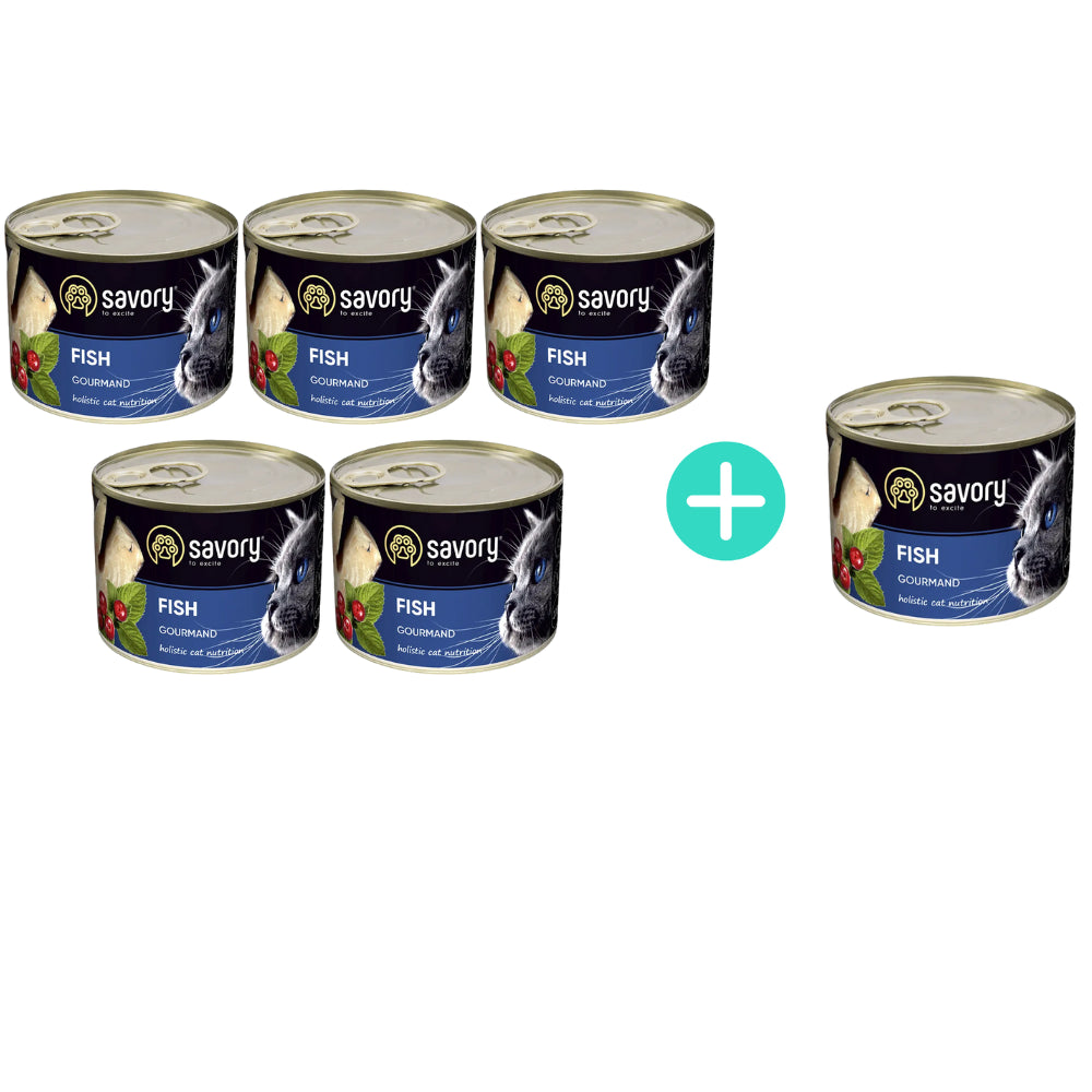 Pakiet Savory Cat Adult Fish Karma Mokra Dla Dorosłych Kotów z Rybą 5 x 200 g + 1 Puszka GRATIS!