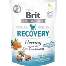 Brit Care Functional Snack Recovery Regeneracja Herring Śledź Przysmak Dla Psa 150 g