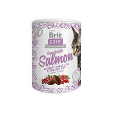 Brit Care Snack Superfruits Salmon Łosoś Róża Żurawina Sterilised Cat Przysmak Dla Kota 100 g