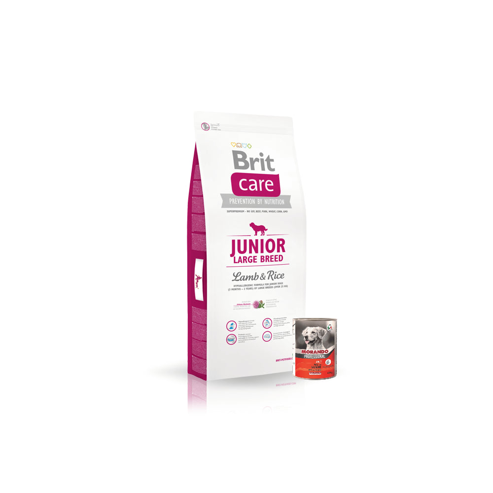 Pakiet Brit Care Lamb & Rice Jagnięcina & Ryż Junior Large Breed Karma Dla Młodych Psów Dużych Ras 12 kg + Morando Pro Mokra Karma Dla Psa Pasztet Z Łososiem 400 g
