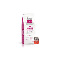 Pakiet Brit Care Lamb & Rice Jagnięcina & Ryż Junior Large Breed Karma Dla Młodych Psów Dużych Ras 12 kg + Morando Pro Mokra Karma Dla Psa Pasztet Z Łososiem 400 g