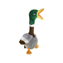 Kong Zabawka Dla Psa Kaczka SHK11E Shakers Honkers Rozmiar L