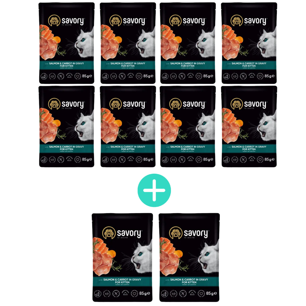 Pakiet Savory Cat Kittens Salmon&Carrots Gravy Karma Mokra Dla Kociąt z Łososiem i Marchewką w Sosie 8 x 85 g + 2 Saszetki GRATIS!