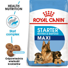 ROYAL CANIN Maxi Starter Mother & Babydog  Karma Sucha Dla Suk W Ciąży I Okresie Laktacji Oraz Szczeniąt Od 4 Do 8 Tygodnia Życia Ras Dużych 15 kg