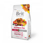 Brit Animals Guinea Pig Complete Karma Dla Świnki Morskiej 300 g