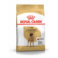 ROYAL CANIN Great Dane Adult karma sucha dla psów dorosłych rasy dog niemiecki 12 kg
