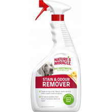 Natures Miracle Stain&Odour Remover Preparat Do Usuwania Codziennych Zabrudzeń Po Psach Melon 946 ml