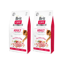 Pakiet BRIT Care Grain Free Adult Activity Support Dla Kotów Aktywnych 2 x 7 kg
