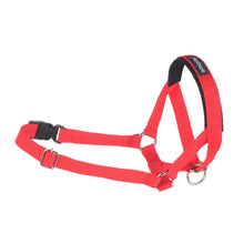 Amiplay Halter Basic Rozmiar XS Czerwony