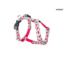 Amiplay Szelki Regulowane Guard BeHappy Rozmiar S Watermelon