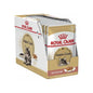 ROYAL CANIN Maine Coon dla dorosłych kotów 12x85g