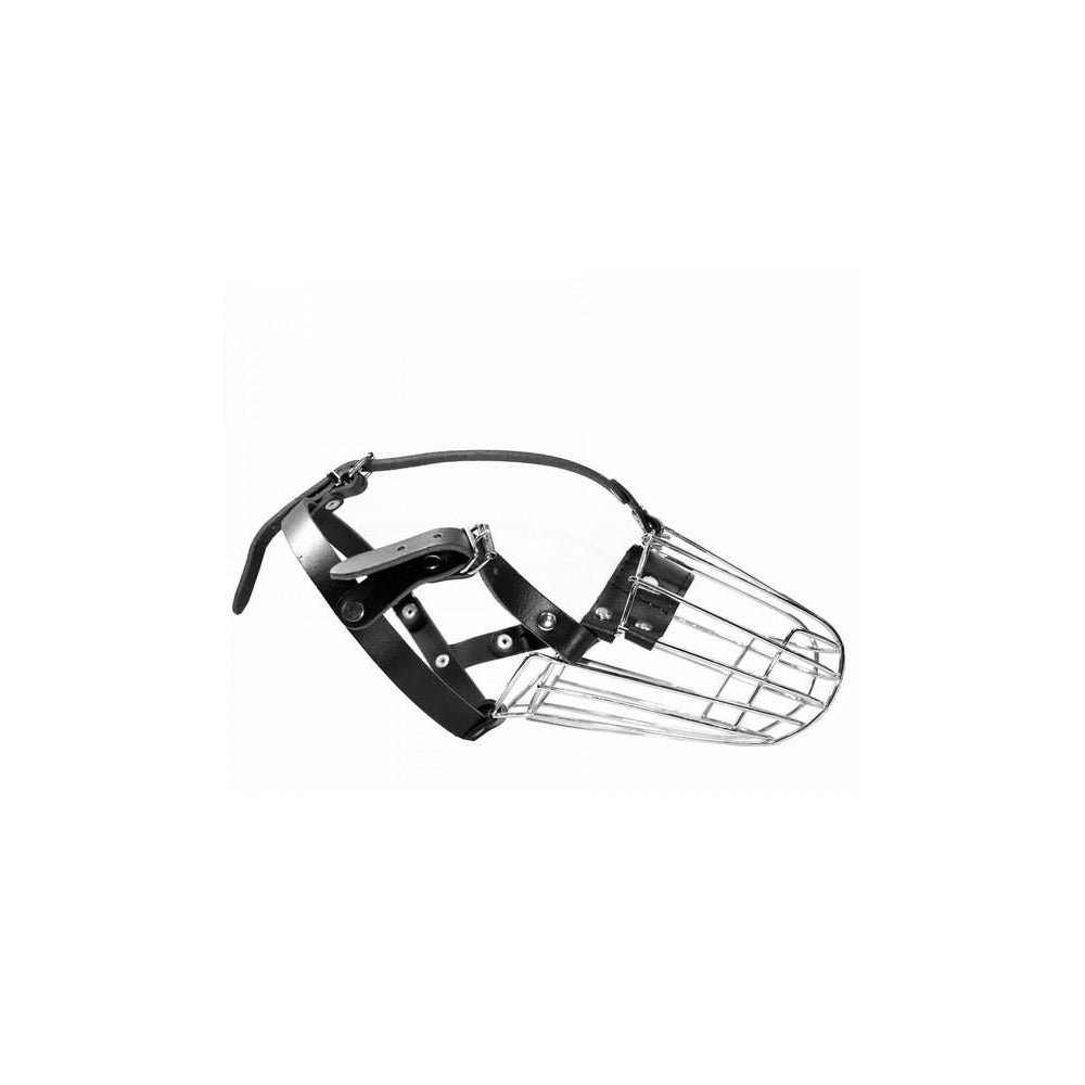 Dino Kaganiec Metalowy Dla Psa Collie Rozmiar 4A