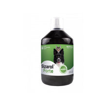 BIOVICO sizarol complex forte 500ml