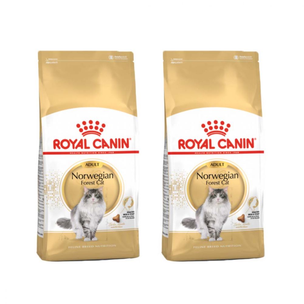 Pakiet Royal Canin Norvegian Forest Cat Adult Karma Sucha Dla Kotów Dorosłych Rasy Norweski Leśny 2 x 2 Kg
