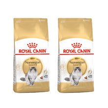 Pakiet Royal Canin Norvegian Forest Cat Adult Karma Sucha Dla Kotów Dorosłych Rasy Norweski Leśny 2 x 2 Kg