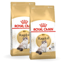 Pakiet ROYAL CANIN Ragdoll Adult Karma Sucha Dla Kotów Dorosłych Rasy Ragdoll 2 x 2 kg