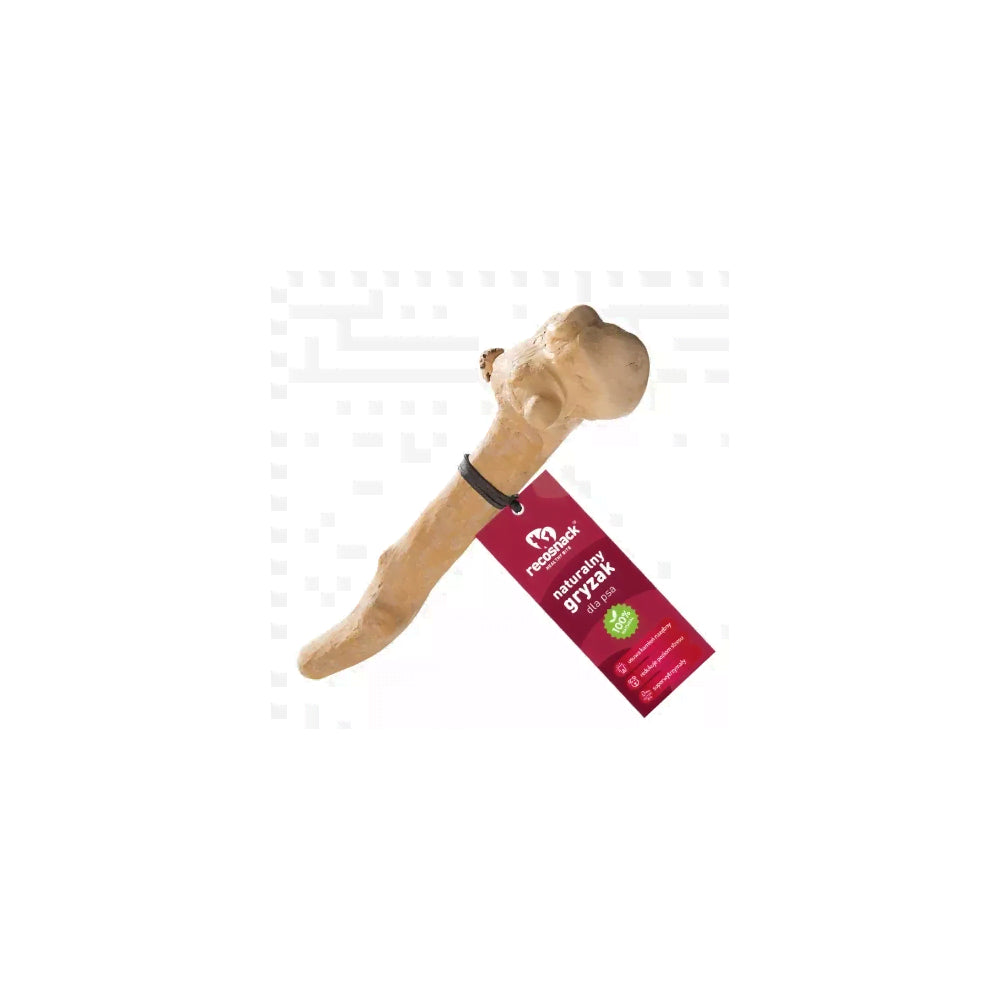 RECOSNACK stick patyk z drzewa kawowego xxs
