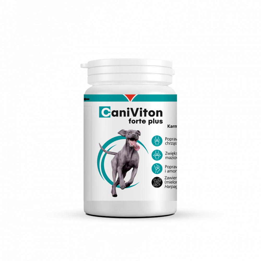 Vetoquinol Caniviton Forte Plus Dla Psa 90 Tabletek