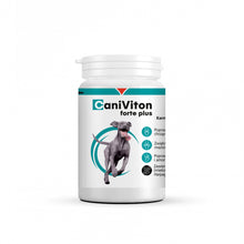 Vetoquinol Caniviton Forte Plus Dla Psa 90 Tabletek