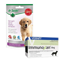 Pakiet Immunoxan Dog Preparat Dla Szczeniąt i Dorosłych Psów Wspomagający Prawidłowe Odżywianie 60 Tabletek + Dr Seidel Smakołyki Szczenięta Ras Dużych 90 g GRATIS!