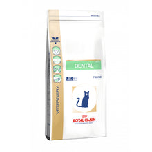 ROYAL CANIN dental feline 3kg