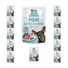 Pakiet Brit Care Mini Adult Salmon&Herring Sterilised Łosoś I Śledź Dla Sterylizowanych Psów Małych Ras 12 x 85 g