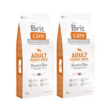 Pakiet Brit Care Lamb & Rice Jagnięcina & Ryż Adult Medium Breed 2 x 12 kg Karma Dla Dorosłych Psów Średnich Ras