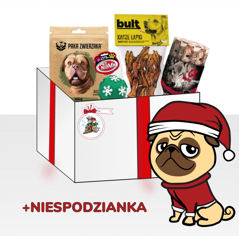 Prezent Gwiazdkowy Dla Psa z Piłką Świąteczną