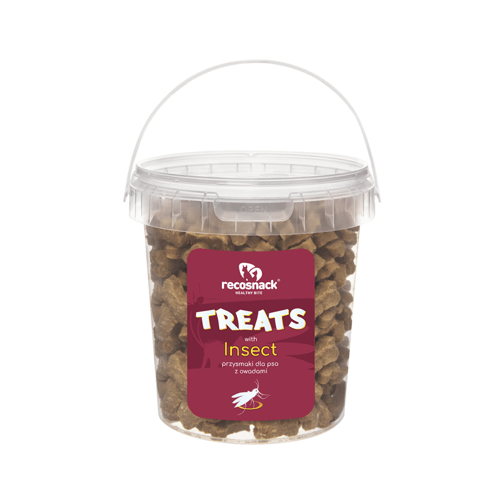 RECOSNACK treats insect przysmaki z owadami 500 g