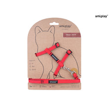 Amiplay Twist Szelki + Smycz Dla Kota Rozmiar M Czerwone