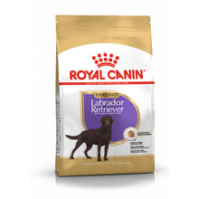 ROYAL CANIN Labrador Retriever Sterilised Adult Karma Sucha Dla Psów Dorosłych Rasy Labrador Retriever Sterylizowanych 12 kg