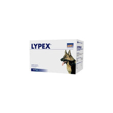 VETPLUS Lypex 60 kapsułek wsparcie trzustki psa i kota