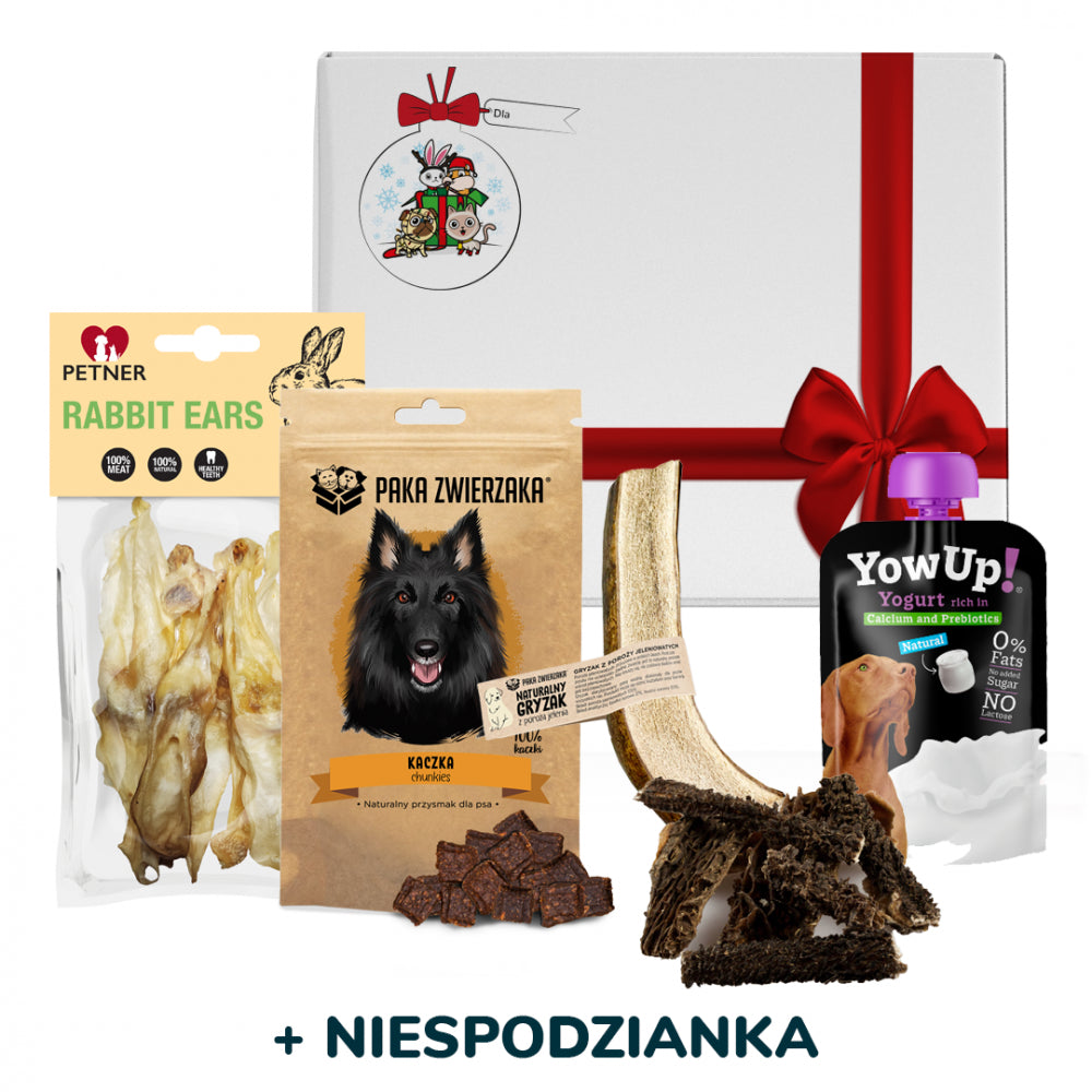 Prezent Gwiazdkowy Dla Psów Premium