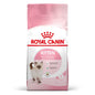 ROYAL CANIN Kitten 2kg karma sucha dla kociąt od 4 do 12 miesiąca życia