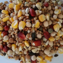 Best Natural Mieszanka Zbóż U+ Uniwersalna Dla Gołębi 20 kg