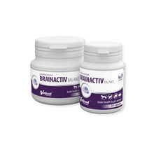 Brainactiv Balance Dla Zwierząt 90 Kapsułek