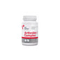 VetExpert Arthrovet Ha Complex  Dla Psów 60 Tabletek