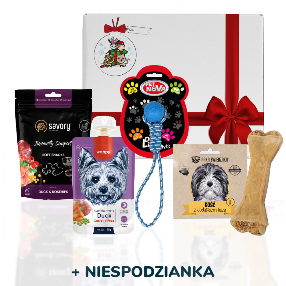 Prezent Gwiazdkowy Dla Psów Średnich i Dużych Ras